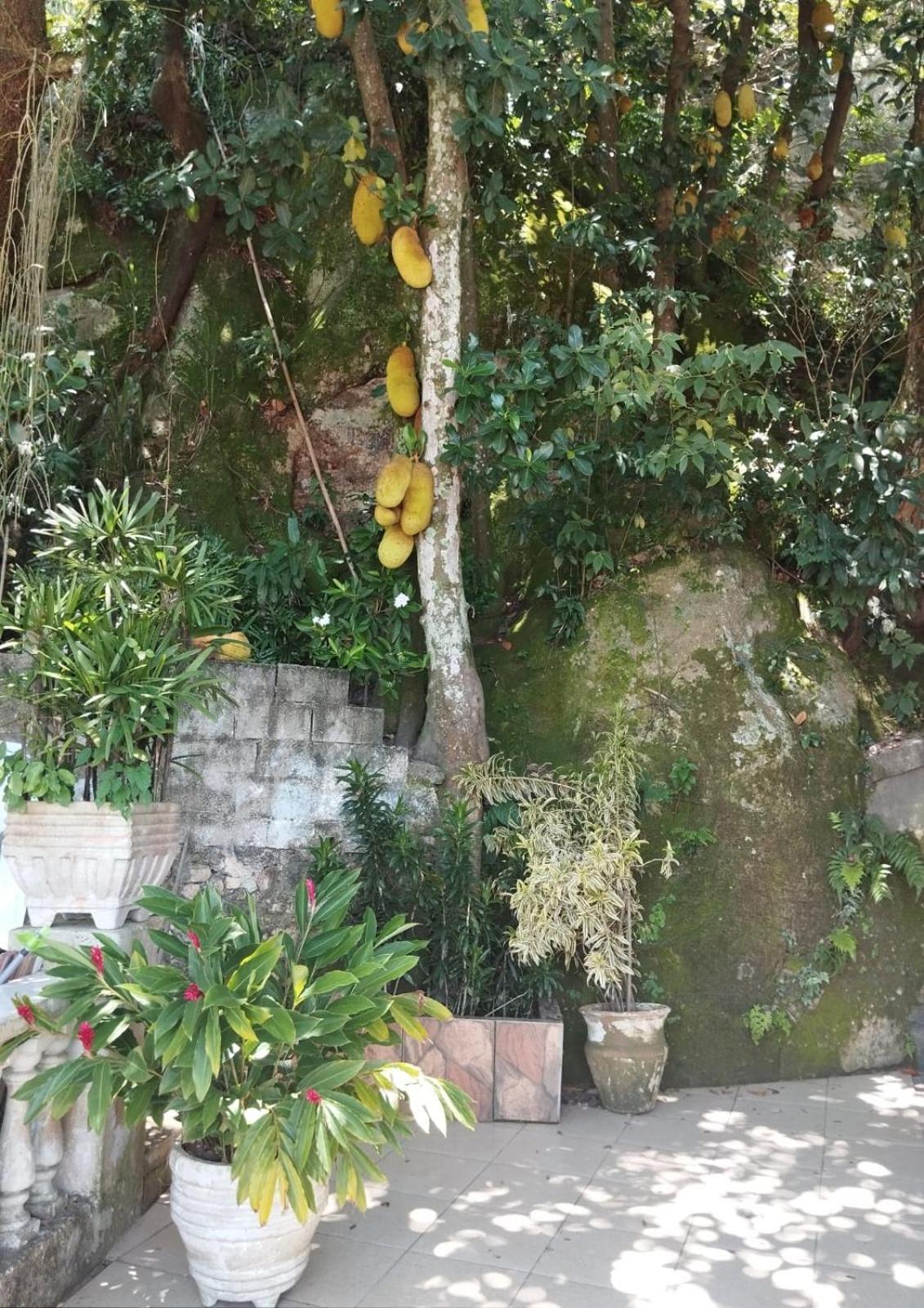 Casa Das Luzes Hostel Ivn Rio de Janeiro Eksteriør bilde